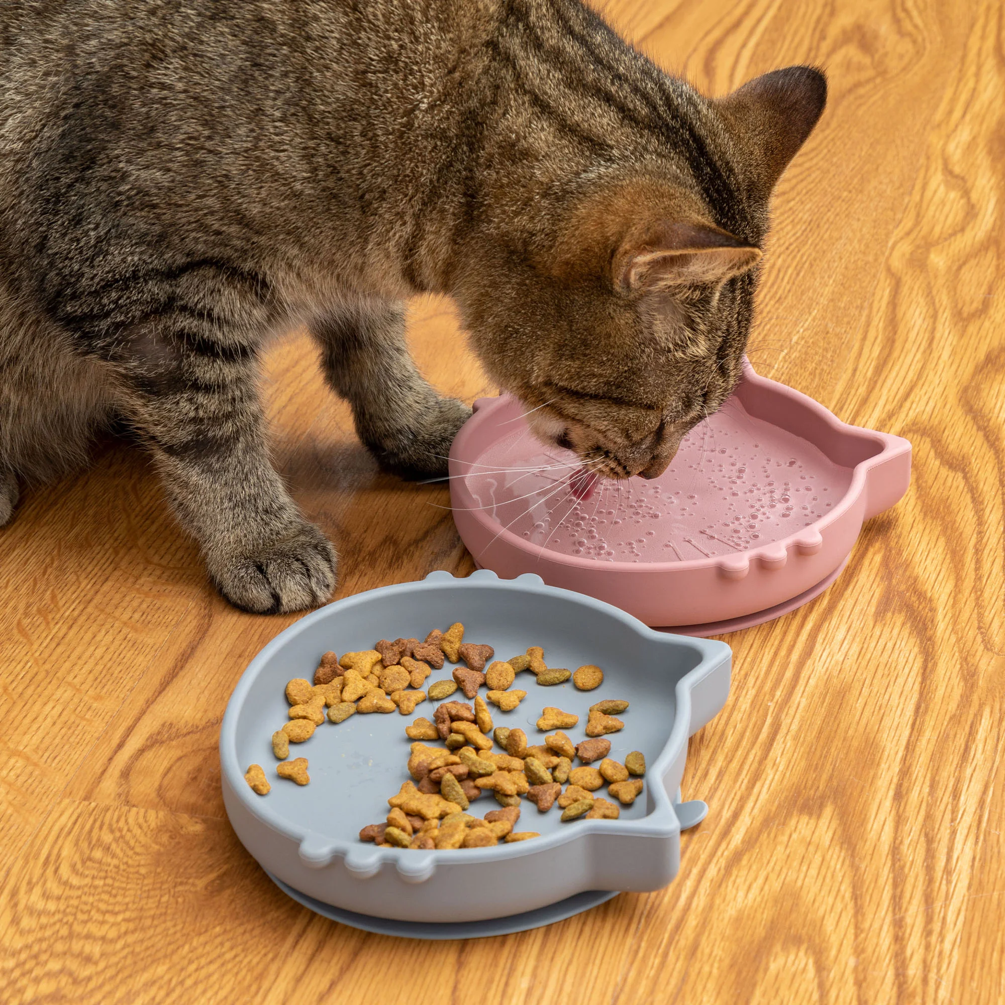 Silicone Cat Dish - Image 3