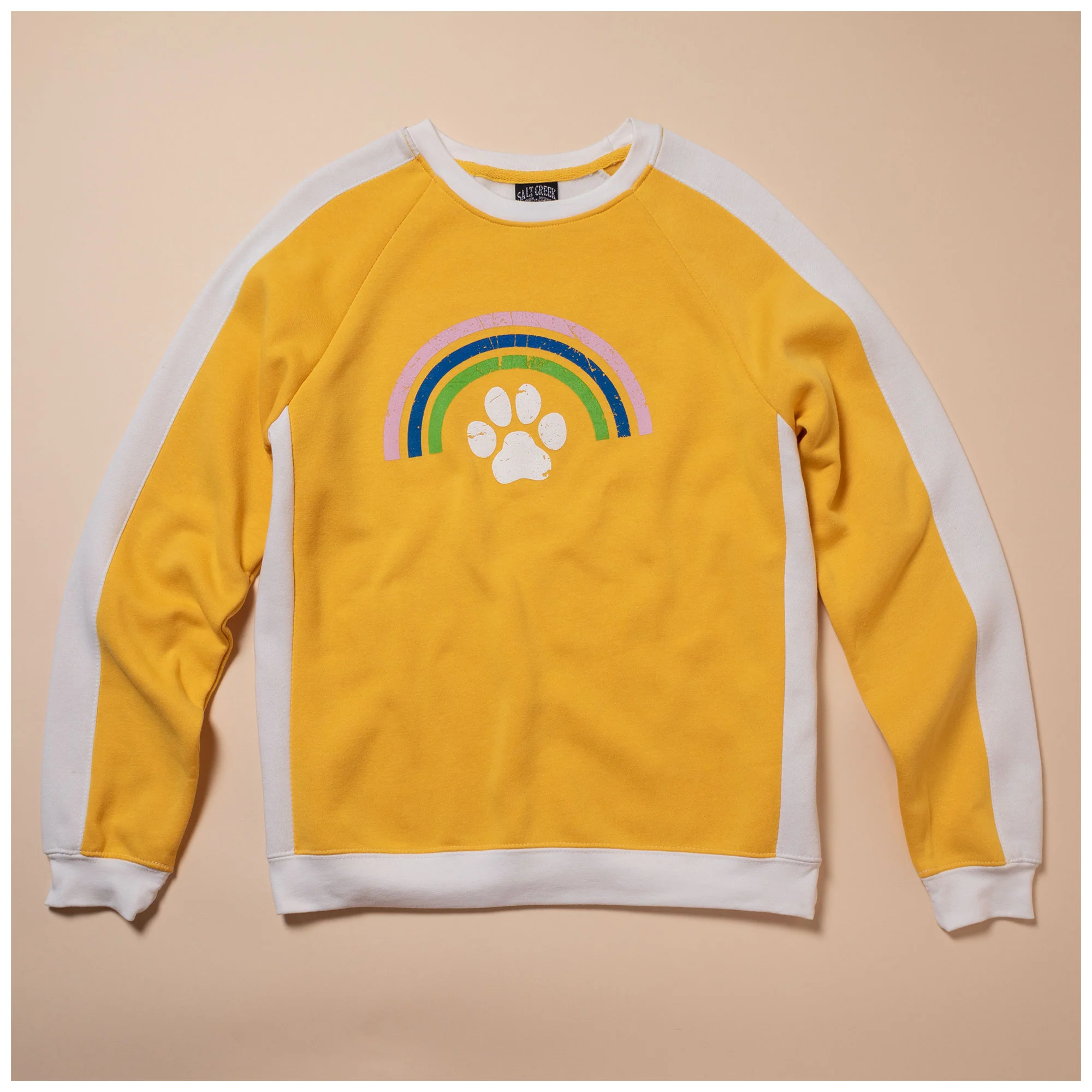 Rainbow & Paw Color-Block Crewneck Sweatshirt - Image 5