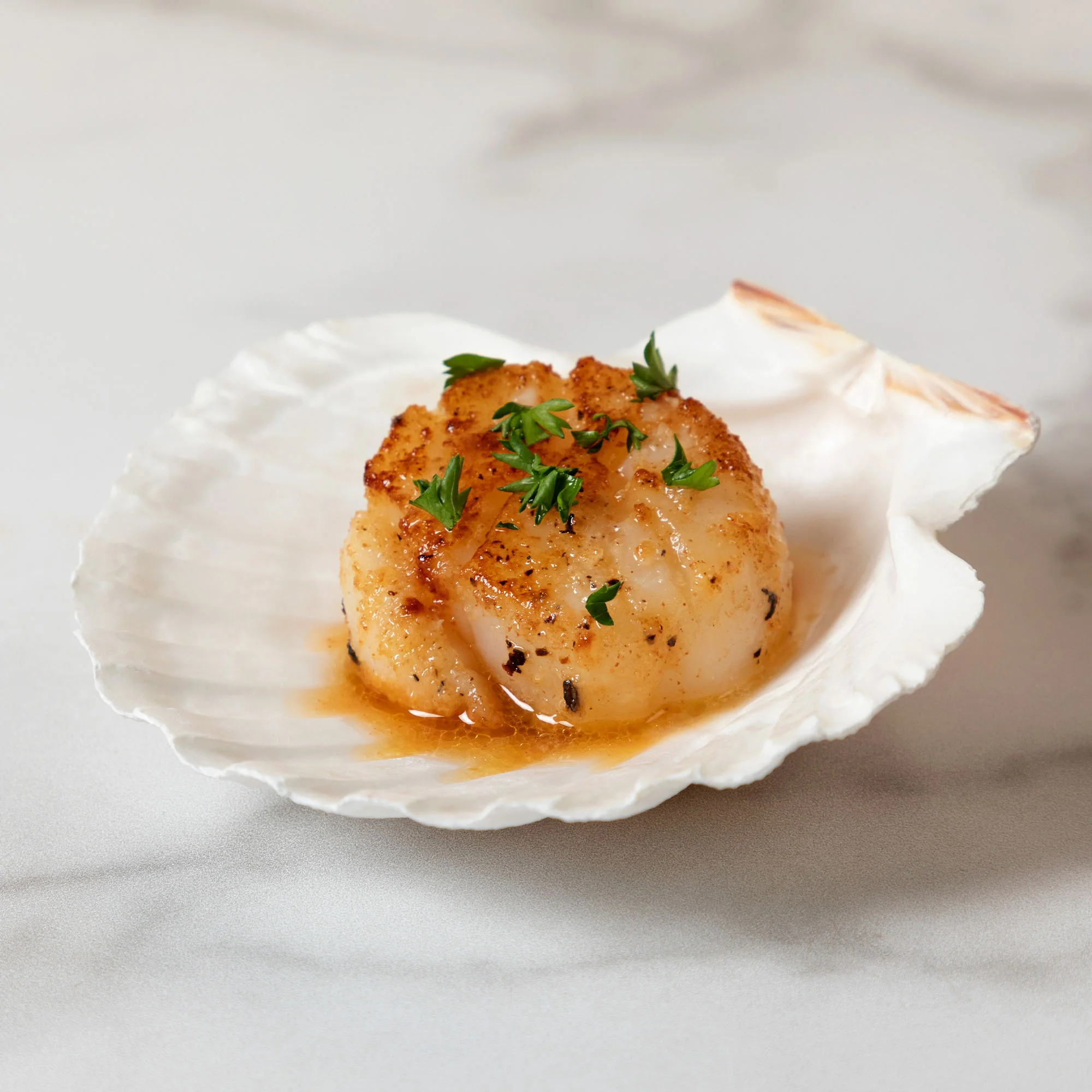 Nantucket Seafood Natural Canape Shells - Set of 4 - Image 4