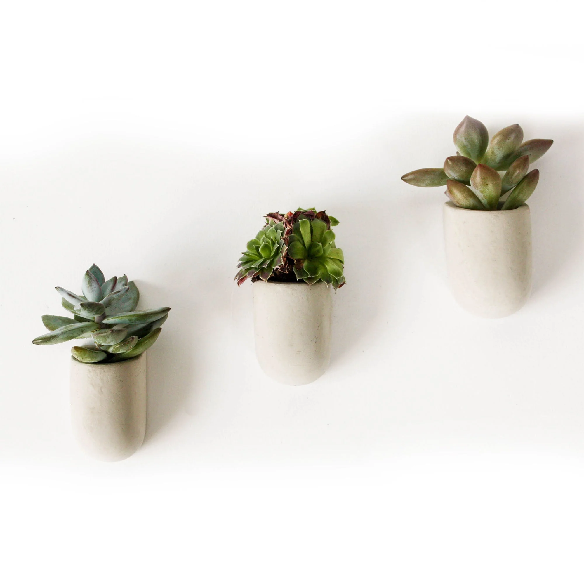 Magnet Plant Pots - Set of 3 - Image 3