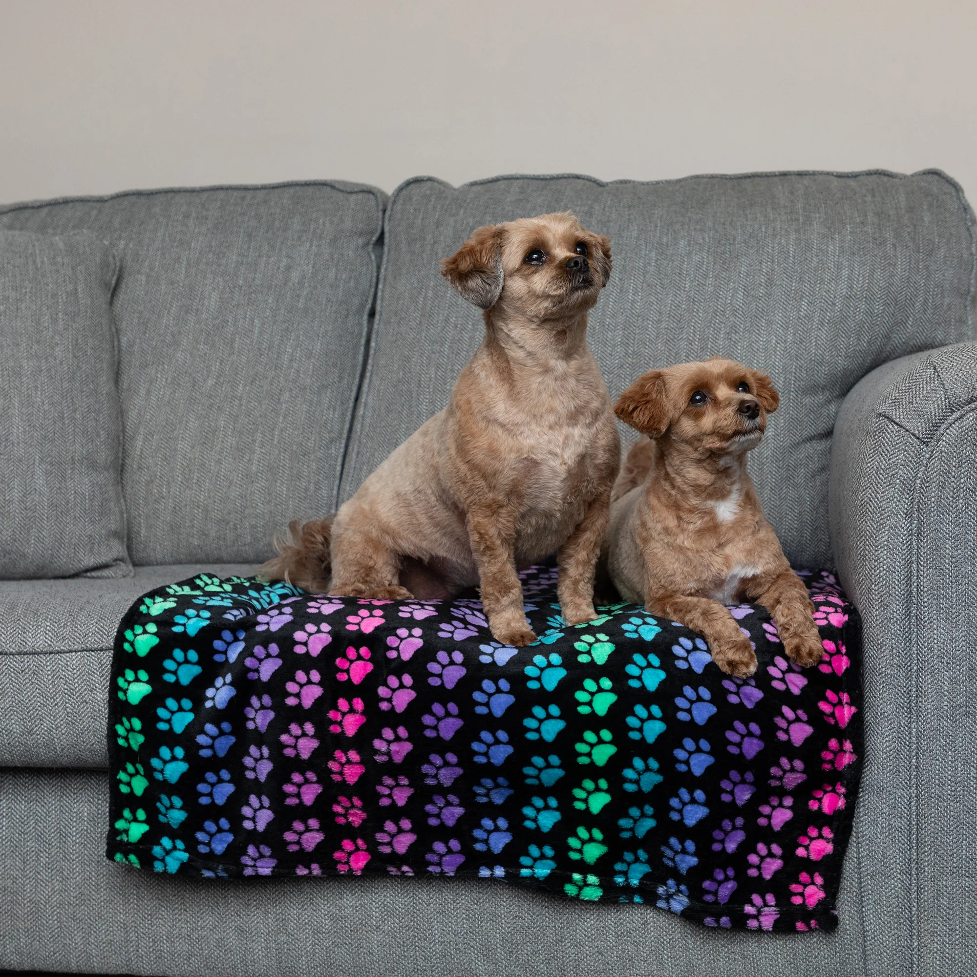 Super Cozy&trade; Pet Blanket - Image 21