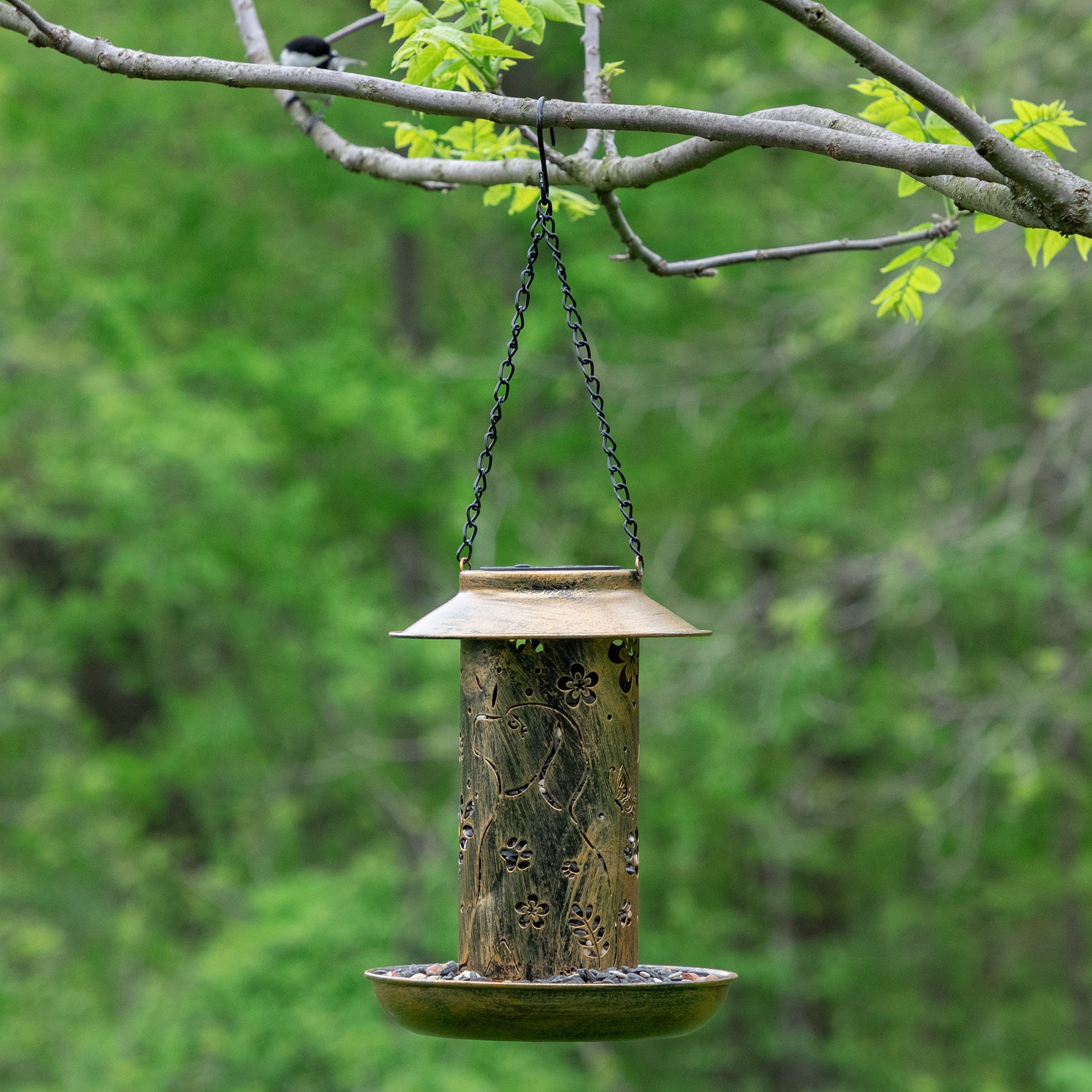 Paws & Flowers Solar Bird Feeder - Image 13