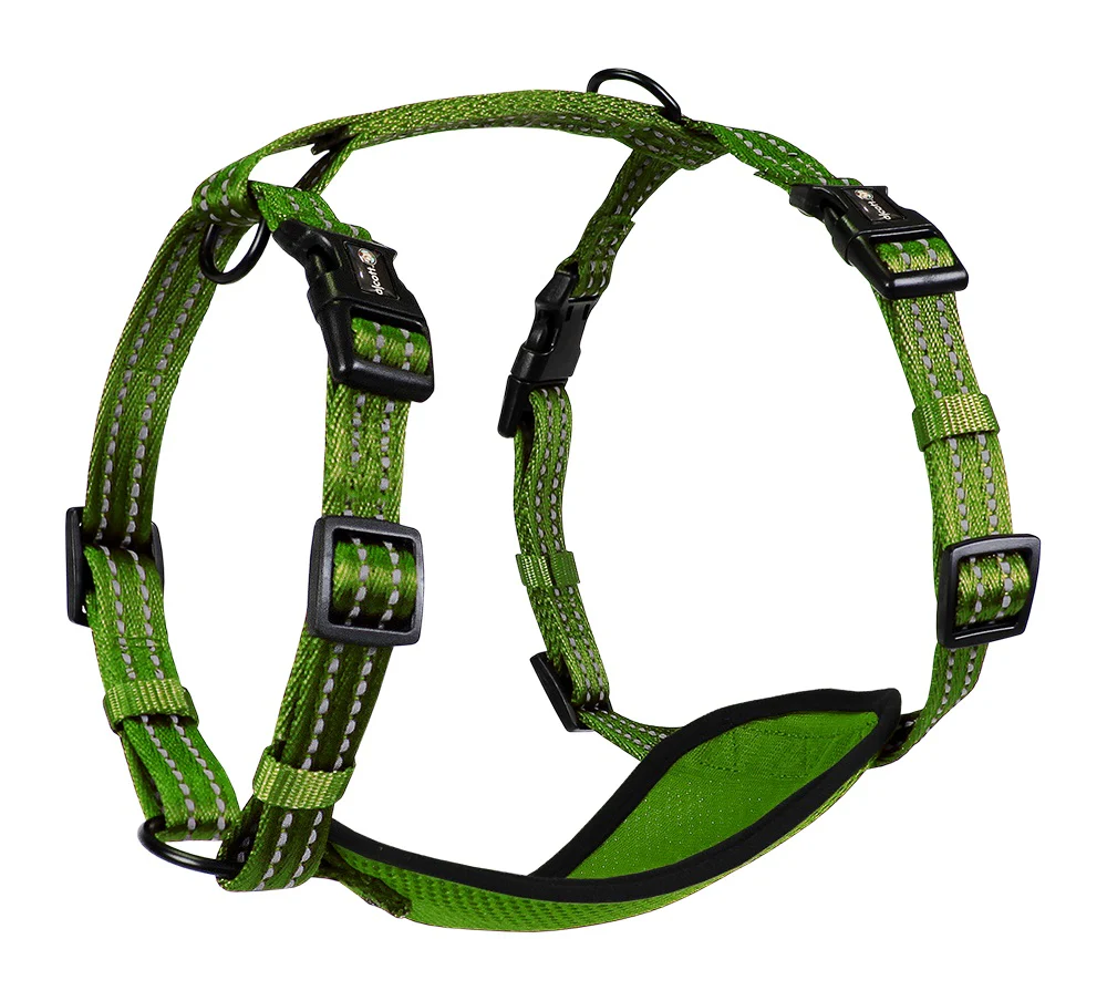 Adventure Harnesses - Image 10