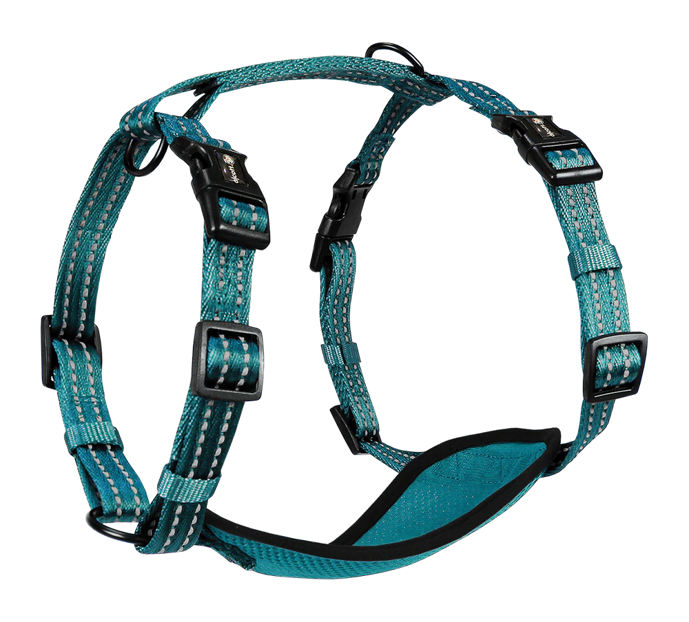 Adventure Harnesses - Image 11