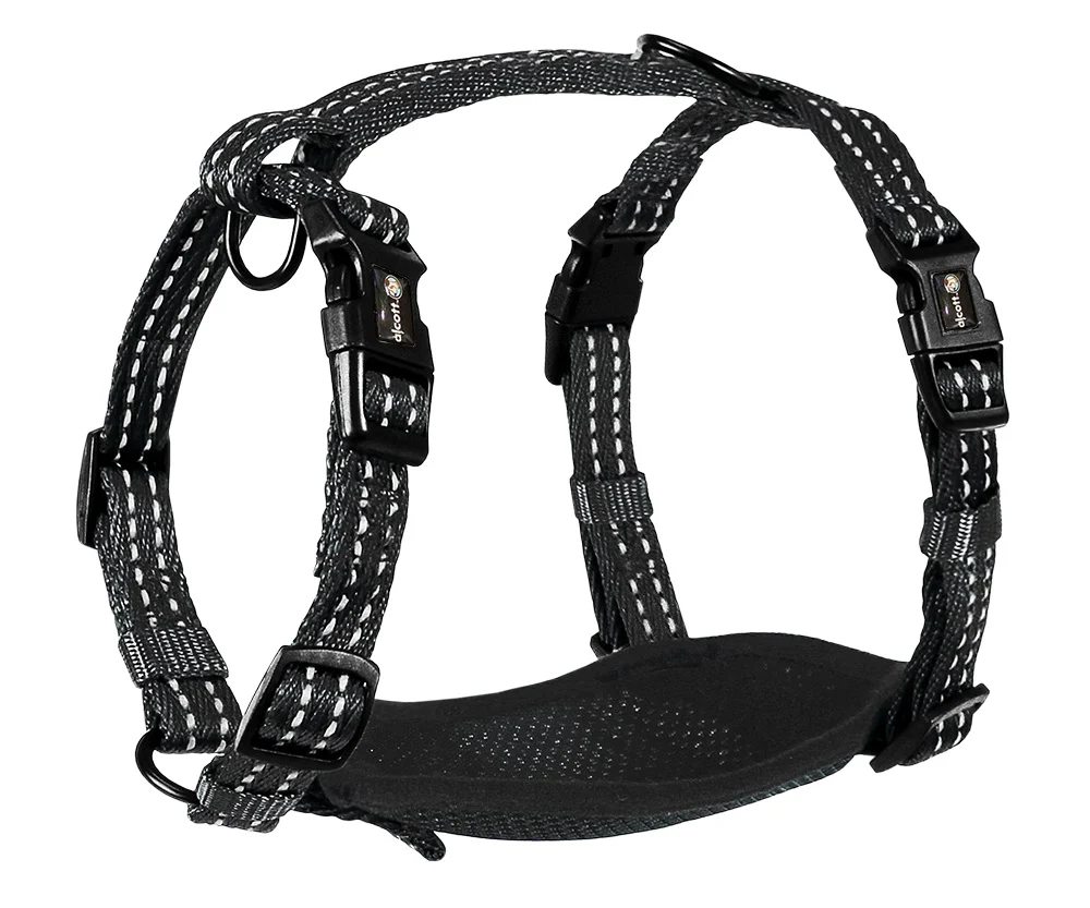Adventure Harnesses - Image 12