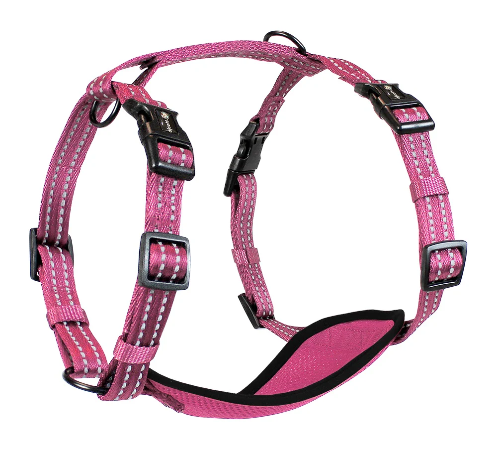 Adventure Harnesses - Image 13
