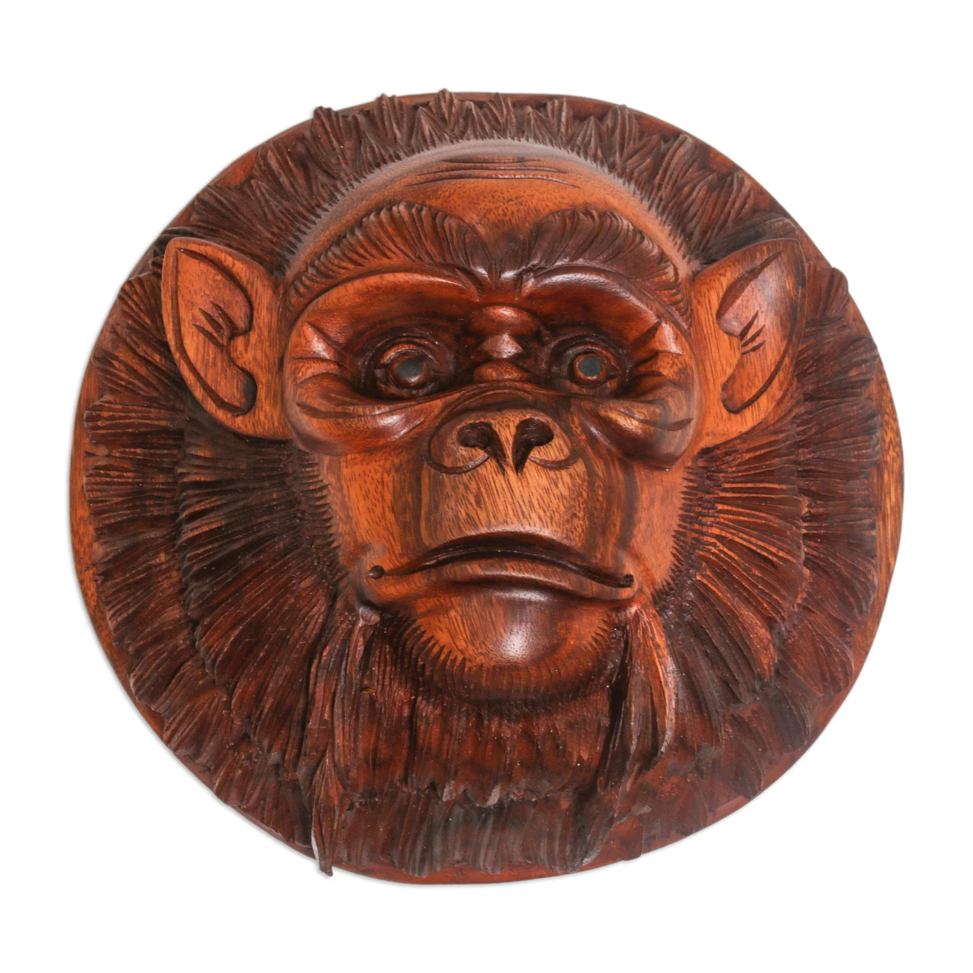 Alpha Chimpanzee Handcrafted Suar Wood Chimpanzee Mask from Bali - Image 2