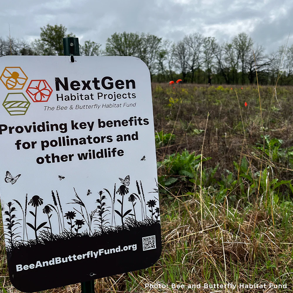 Protect the Monarch Butterfly - Image 6