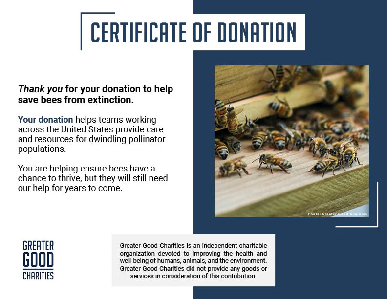 Bees on the Brink: Help Save This Vital Species - Image 20
