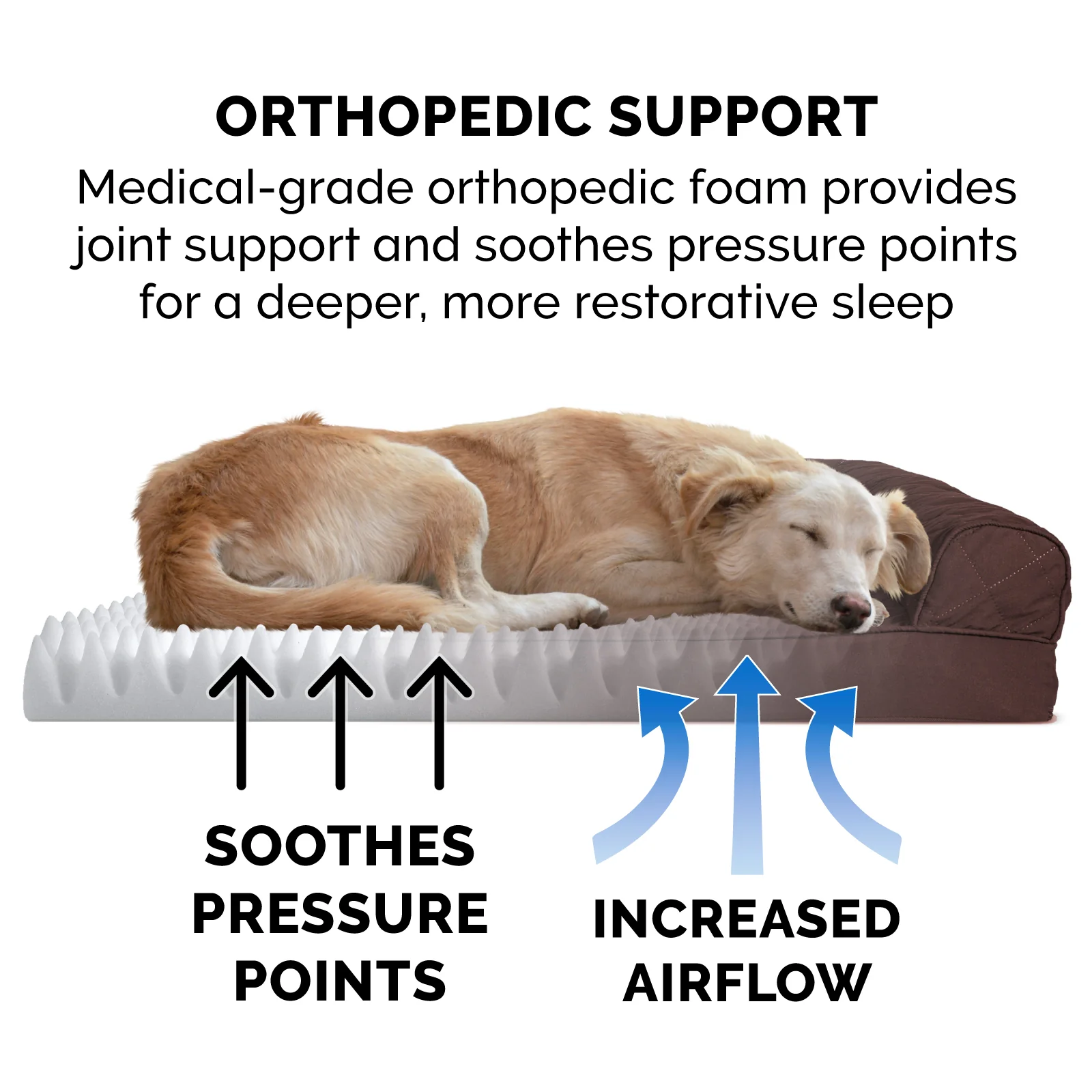 Convolute Quilted Sofa-Style Couch Pet Bed - Image 4