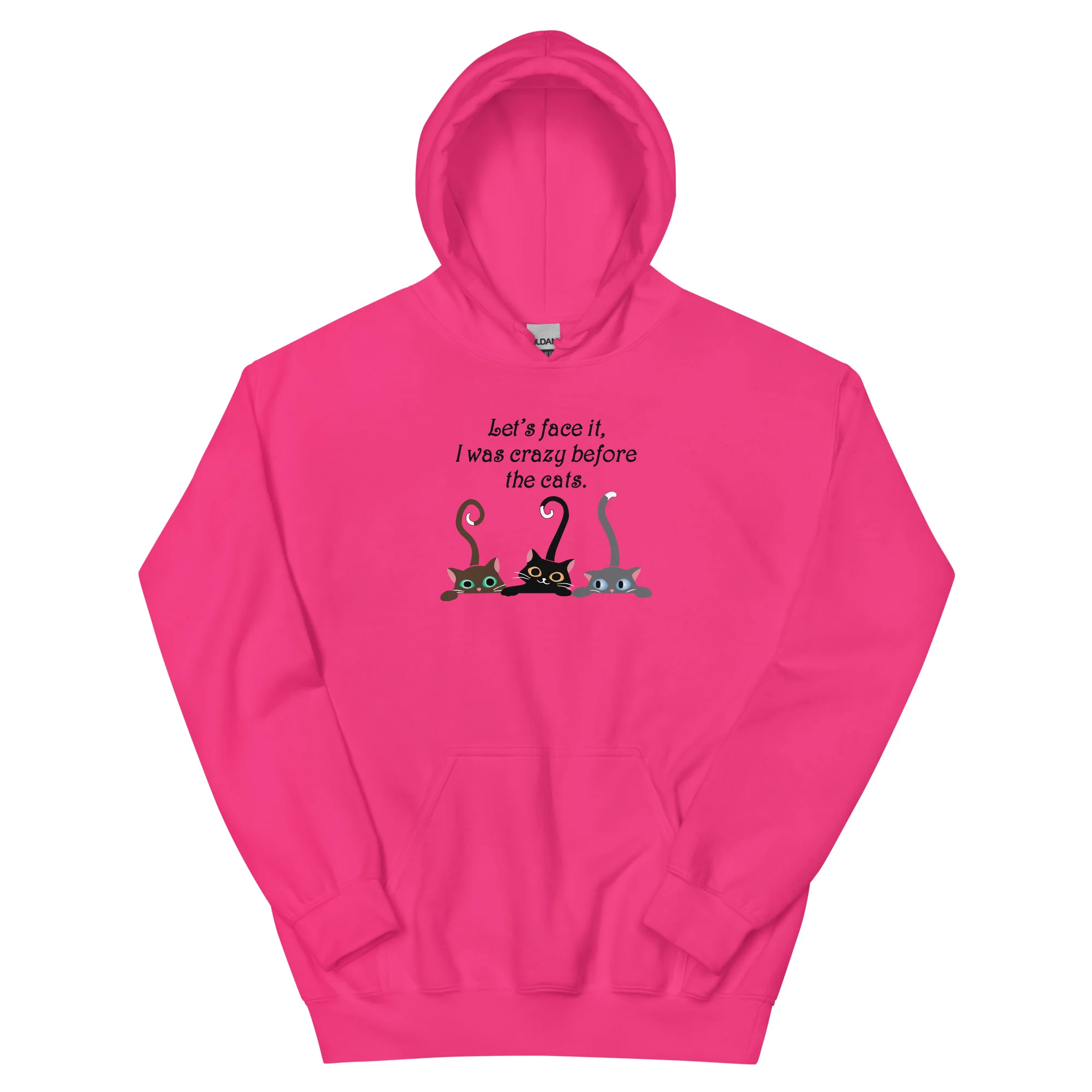 Crazy Before The Cats Hoodie - Image 5