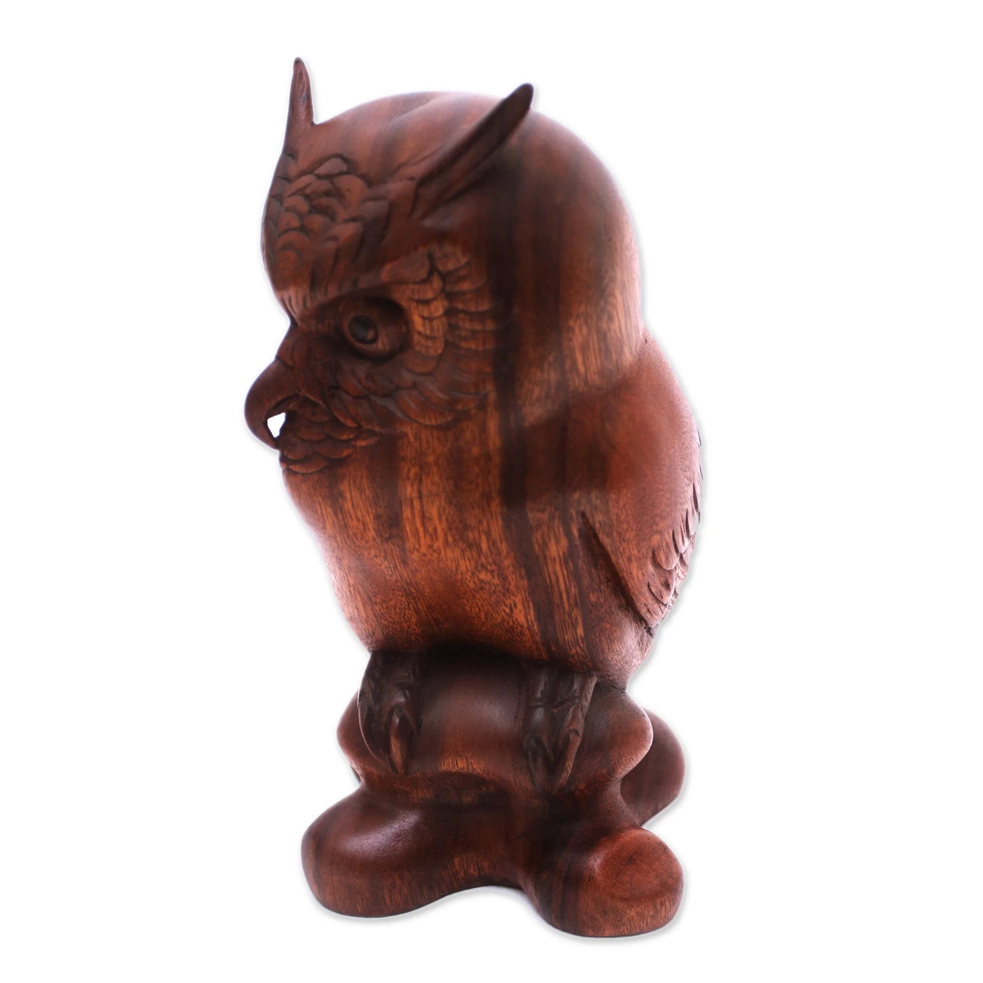 Crested Owl Suar Wood Sculpture - Image 5