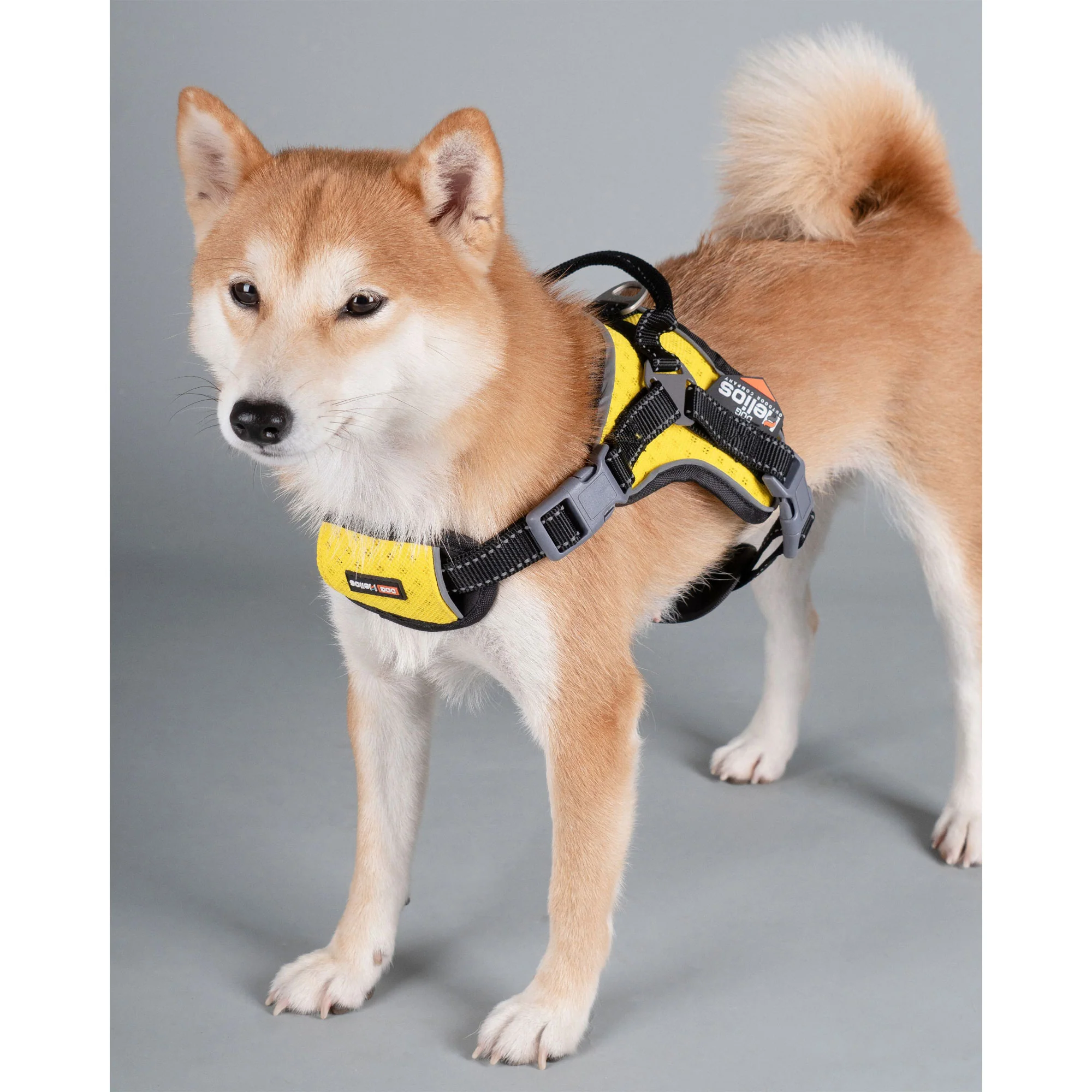Dog Helios® Scorpion Sporty Dog Harness - Image 2