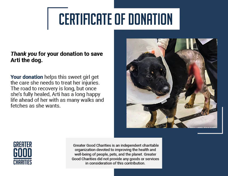 Arti Survived the War - Now Help Her Survive Her Wounds. - Image 5