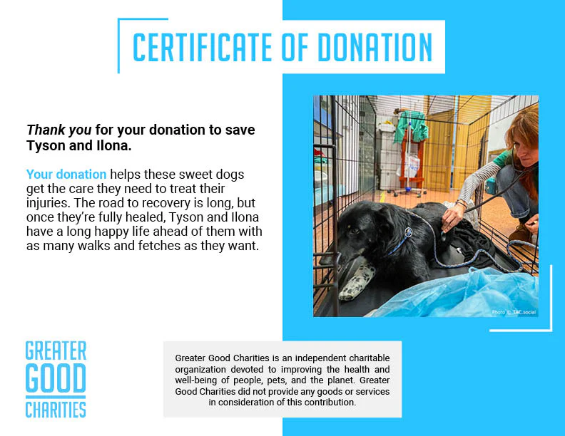 Funded: Help IIona and Tyson Suffering From Life-Threatening Injuries Get Emergency Care - Image 6