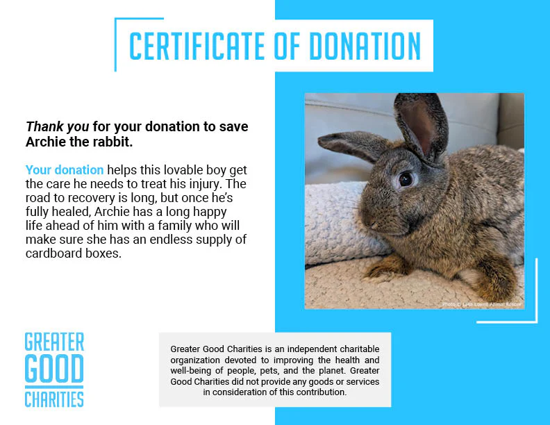 Funded: Help Baby Bunny with Injured Leg Get Care He Needs to Hop Again - Image 5