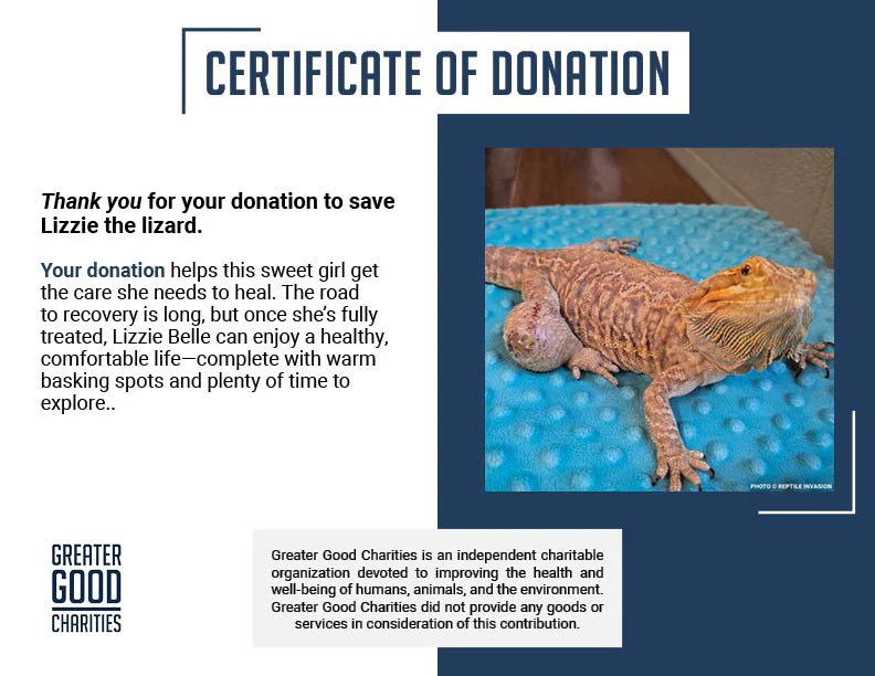 Funded: Lizzie the Lizard Needs Surgery to Remove Large Tumor - Image 5