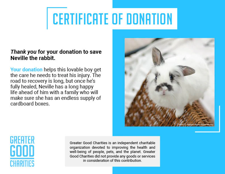 Funded: Neville Needs Support After Emergency Dental Surgery - Image 6
