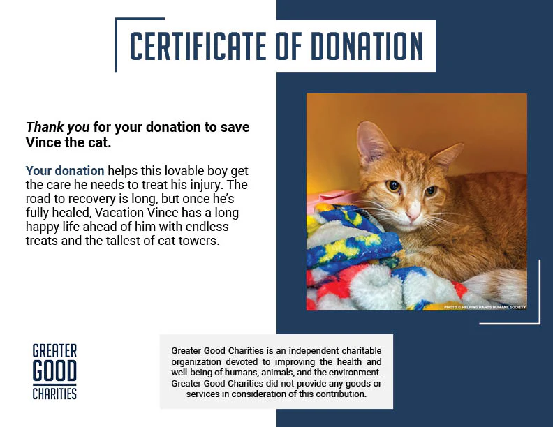 Someone Shot Vince and Stole His Ability to Walk — Help Us Give It Back - Image 5