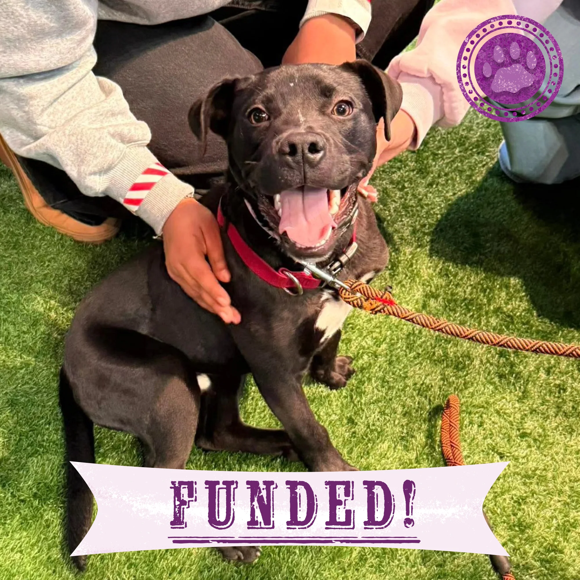Funded: Severely Burned and Dumped, Bond Needs a Chance to Heal