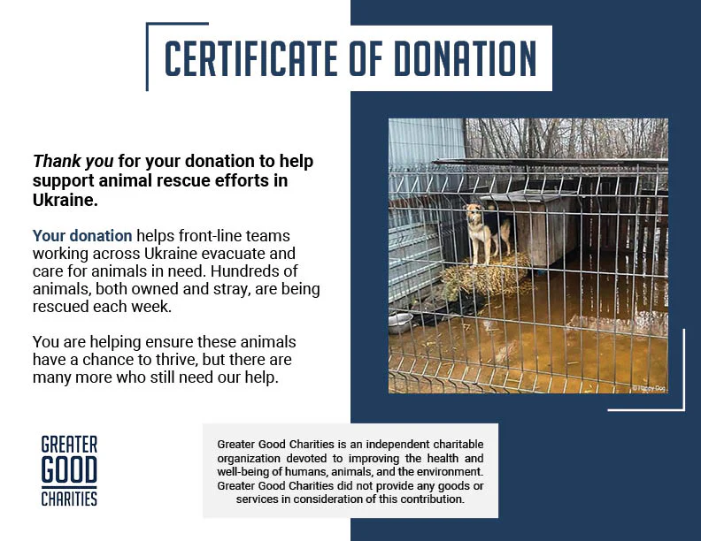 URGENT: Help Evacuate Shelter Pets From Flood Waters - Image 10