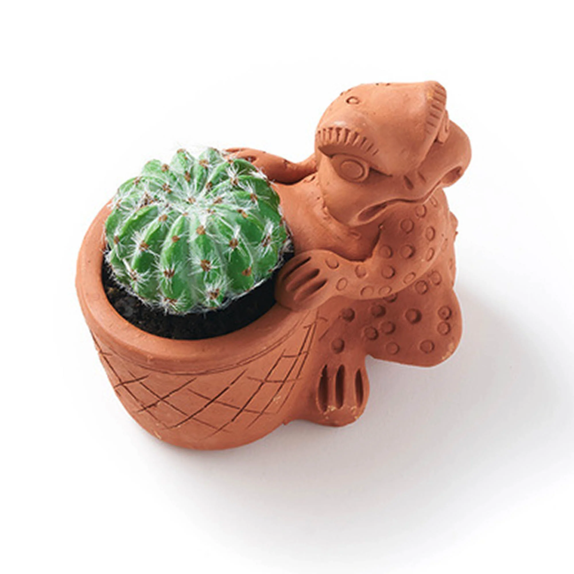 Frog Rakshana Plant Pal Pot - Image 2