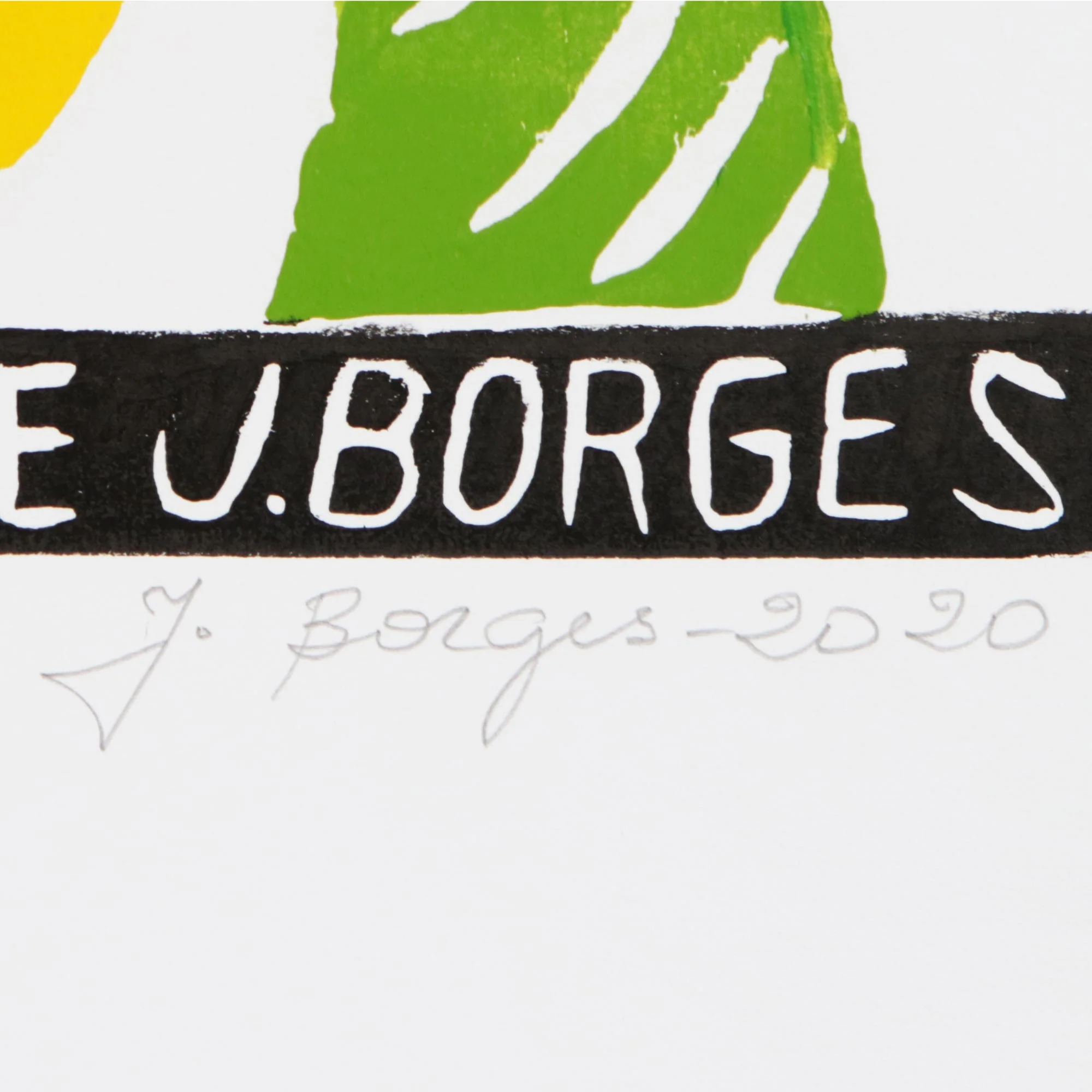 Fruits of Brazil's Northeast Brazil Tropical Fruit Color Woodcut Print by J. Borges - Image 3