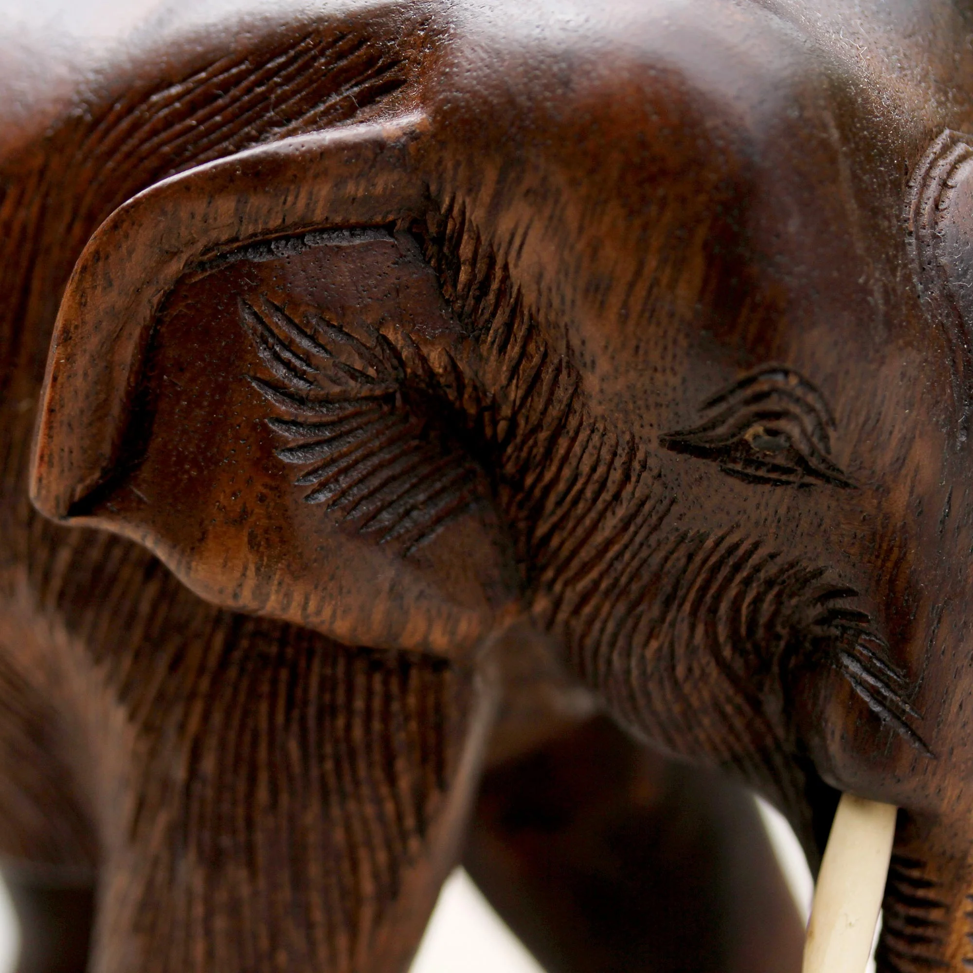 Gentle Thai Elephant Artisan Carved Rain Tree Wood Sculpture - Image 5