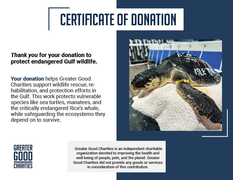 Federal Protections Gutted, Critically Endangered Species At Risk - Image 13