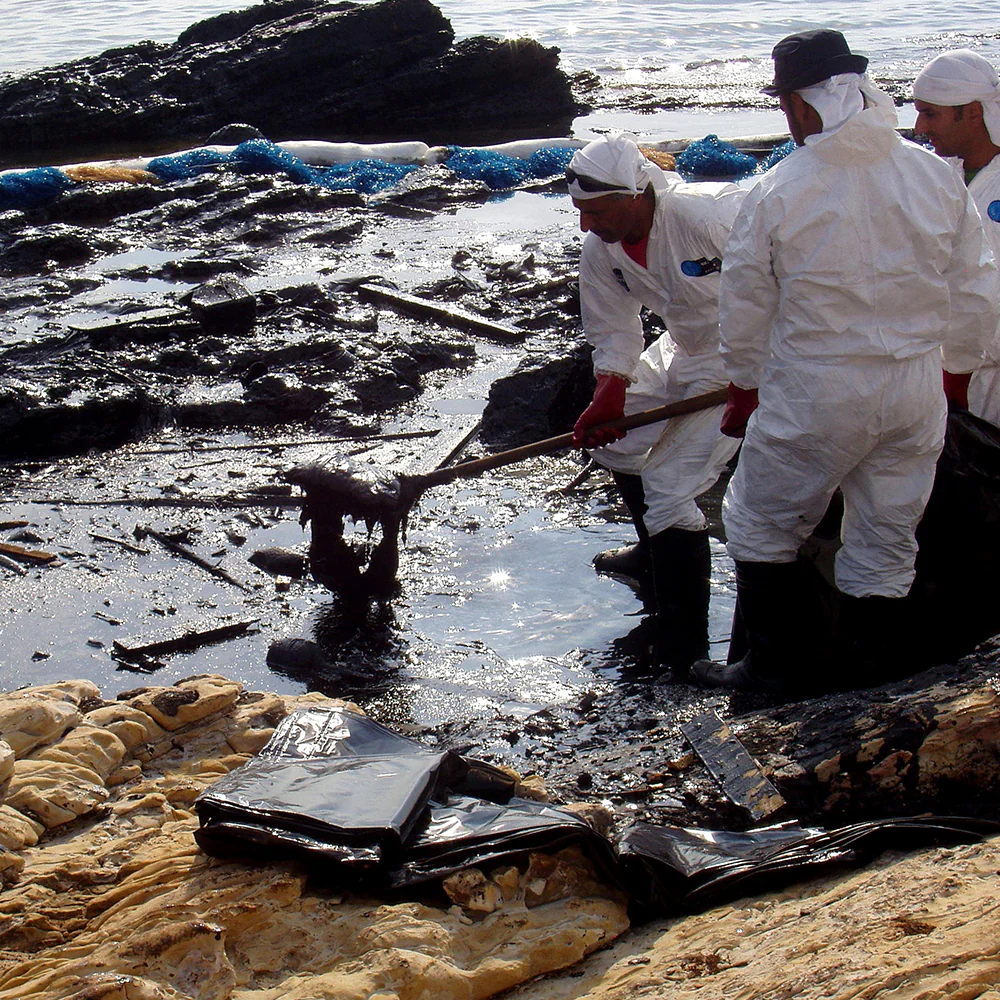 Federal Protections Gutted, Critically Endangered Species At Risk - Image 4