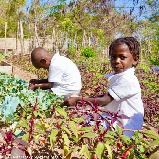 Hope in Crisis: Ensure Children in Haiti Eat Today - Image 3