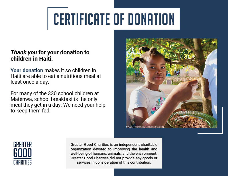 Hope in Crisis: Ensure Children in Haiti Eat Today - Image 8