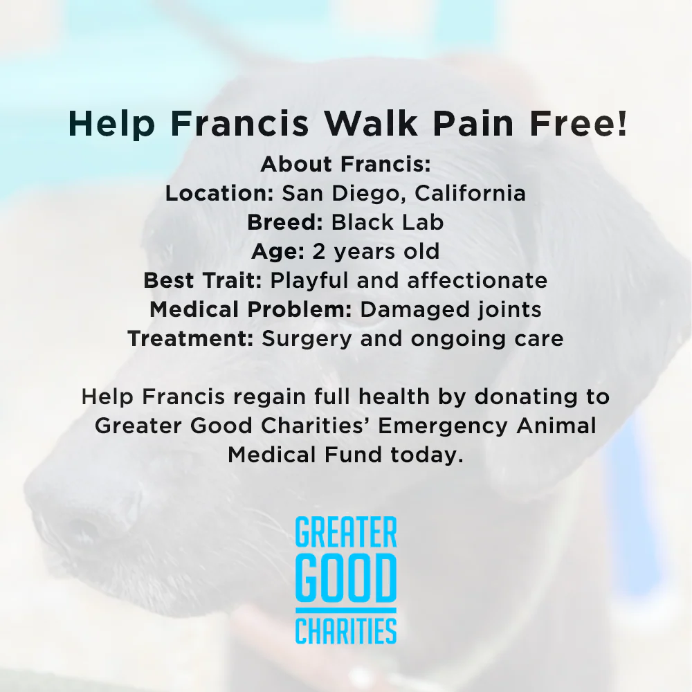 Funded - Help Francis Get Surgery To Walk Pain Free - Image 3