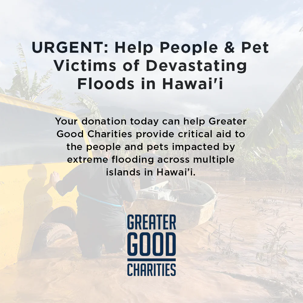 Help People and Pet Victims of Devastating Floods in Hawai'i - Image 9