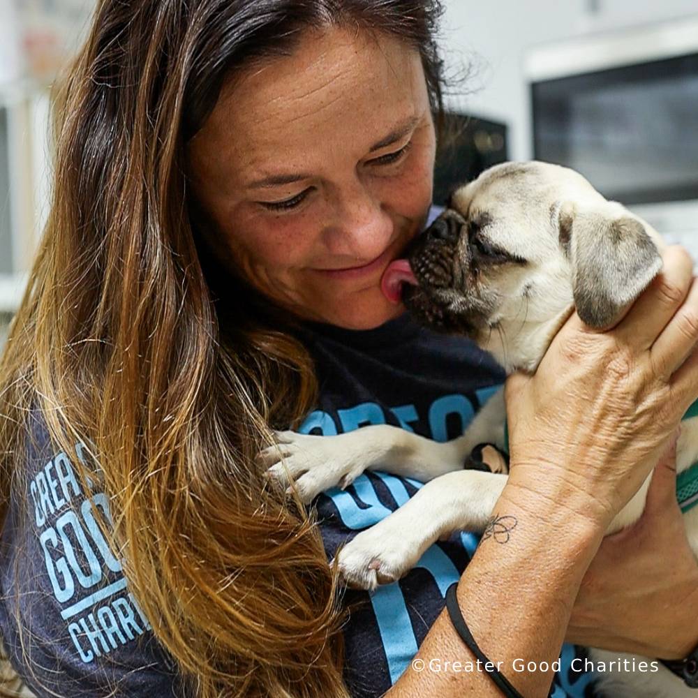 Disaster in the South: Help People and Pet Victims of Wildfires - Image 5