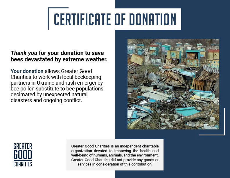 Help Save Bees Devastated by War in Ukraine - Image 8