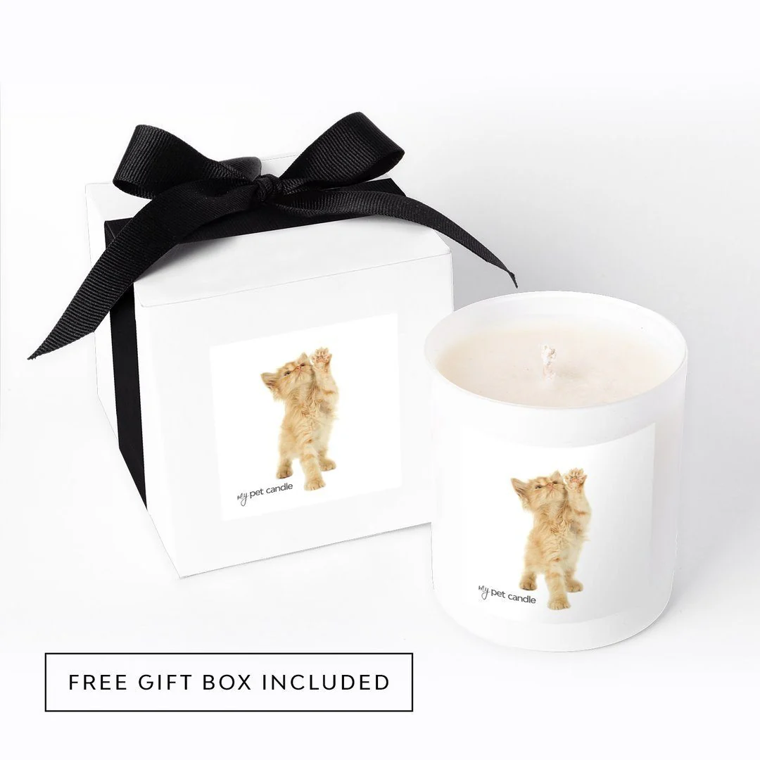 High Five Kitty Soy Wax Candle - Image 2