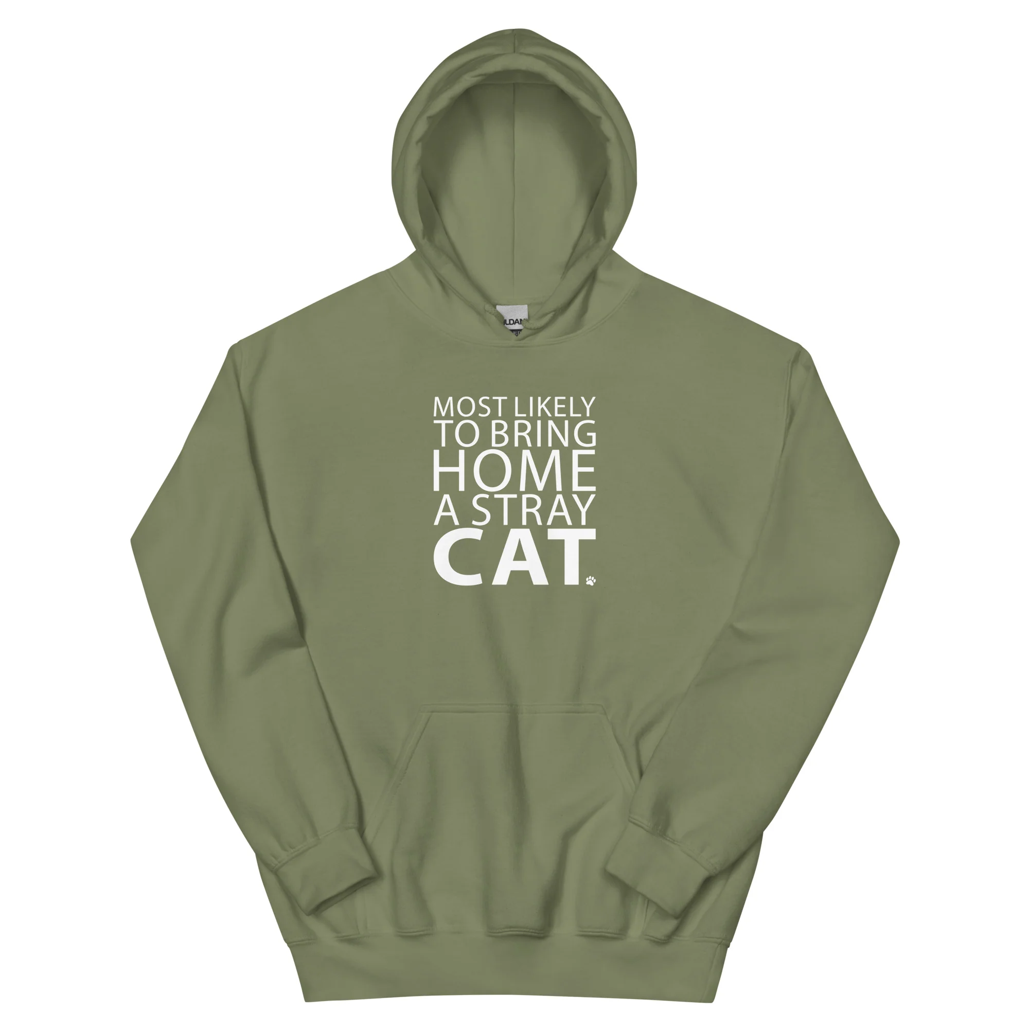 Most Likely To Bring Home A Stray Cat Hoodie - Image 13