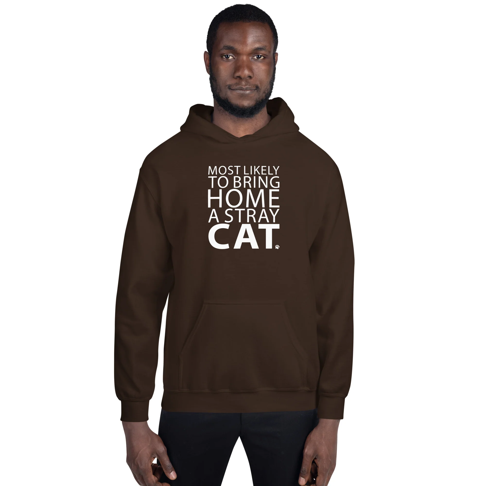 Most Likely To Bring Home A Stray Cat Hoodie - Image 3