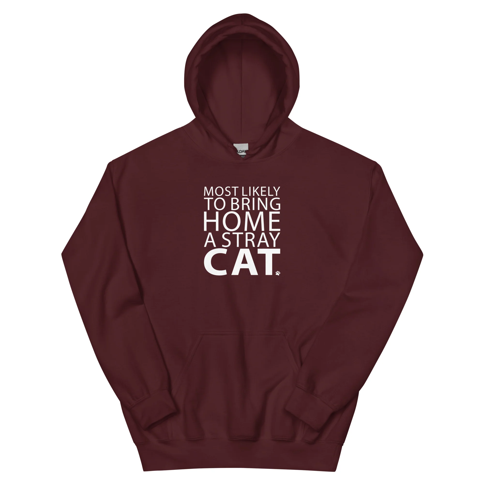 Most Likely To Bring Home A Stray Cat Hoodie - Image 6