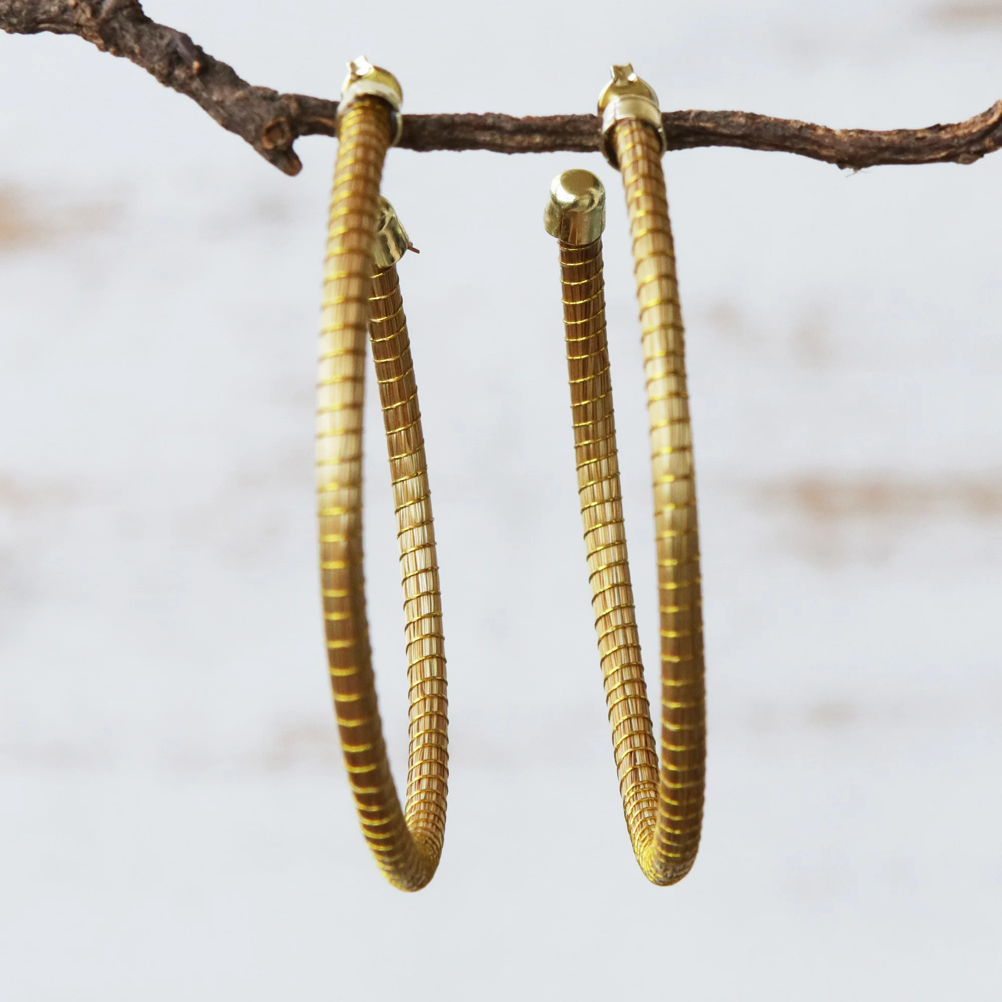 Natural Dynamic (2.5 Inch) Brazilian Golden Grass Gold Half hoop Earrings - Image 3