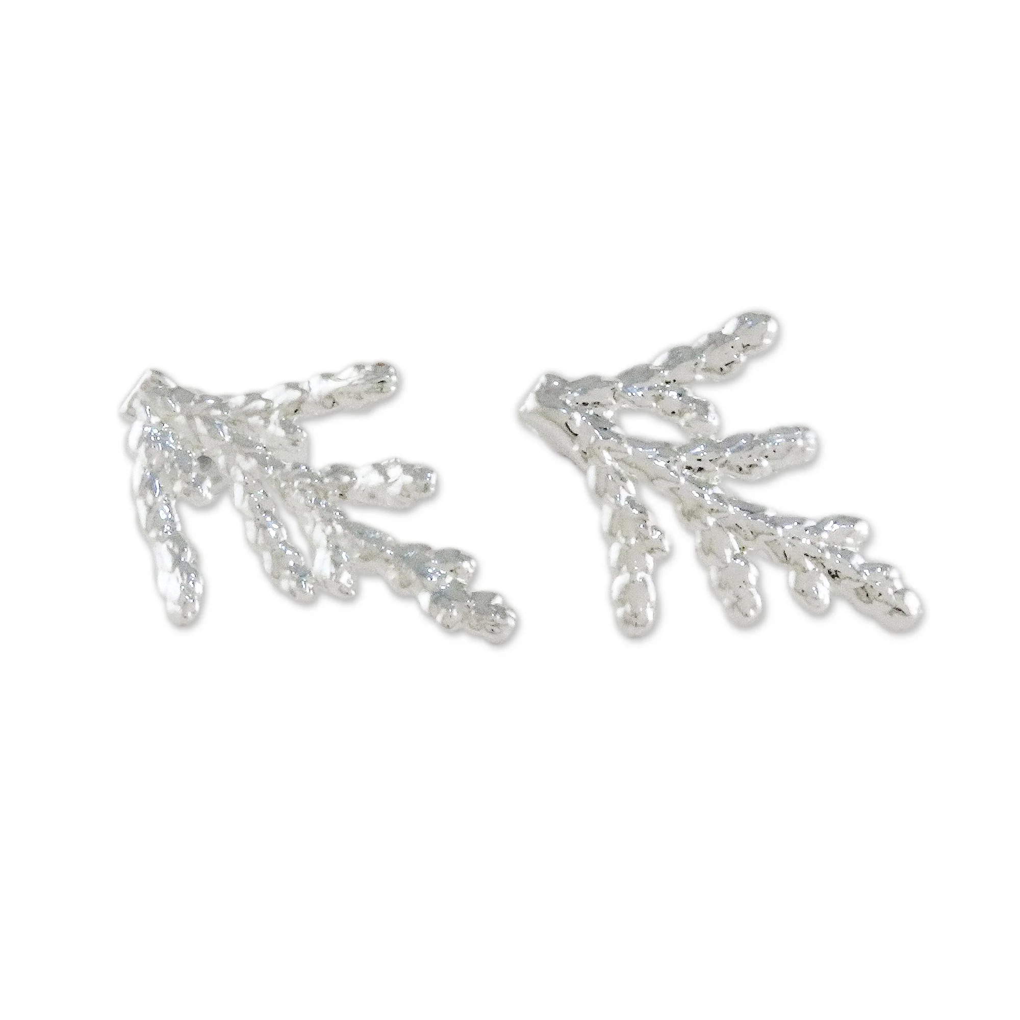 Natural Needles Silver Plated Natural Cypress Leaf Earrings from Thailand - Image 2