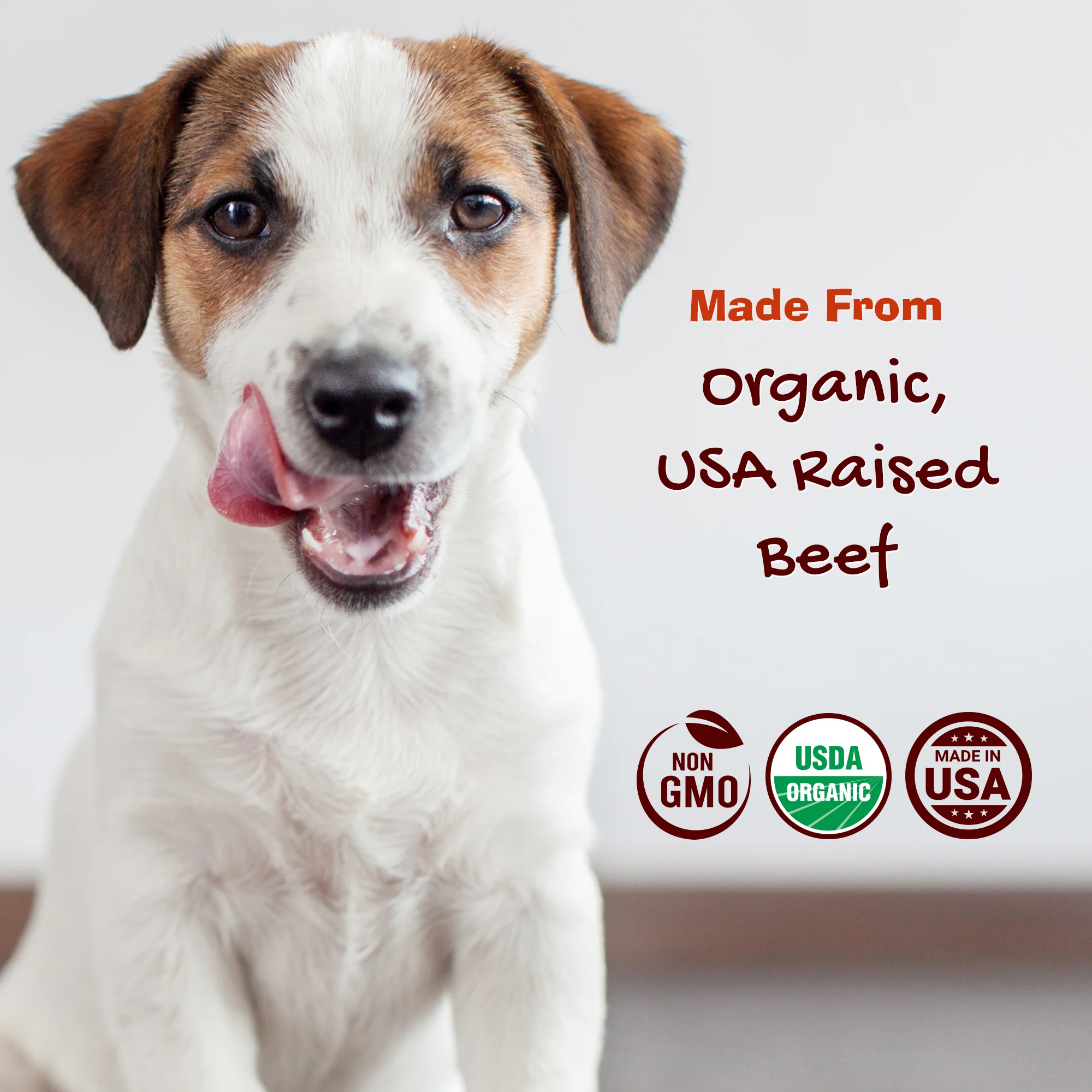 Organic Beef Jerky Jibbs 3-Pack - Image 4