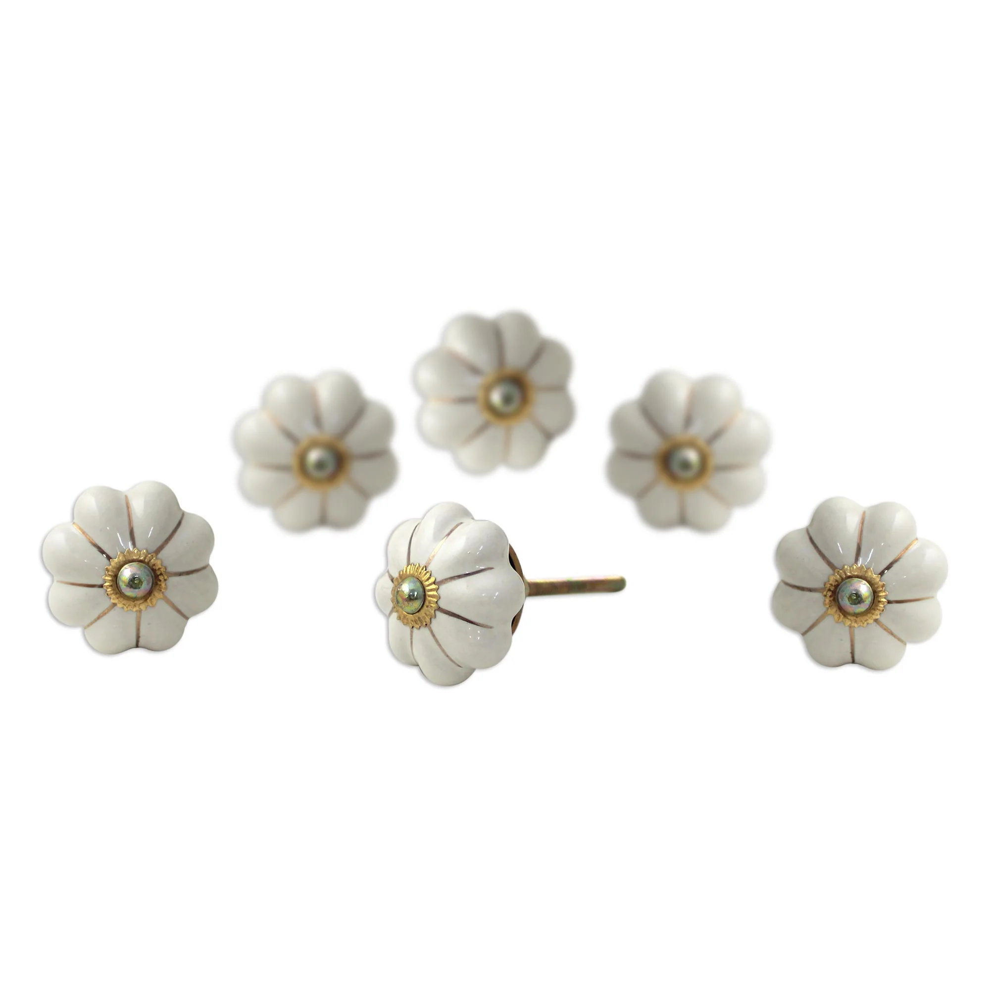 Pale Floral Beauties Ceramic Cabinet Knobs Floral Off-White (Set of 6) India - Image 4