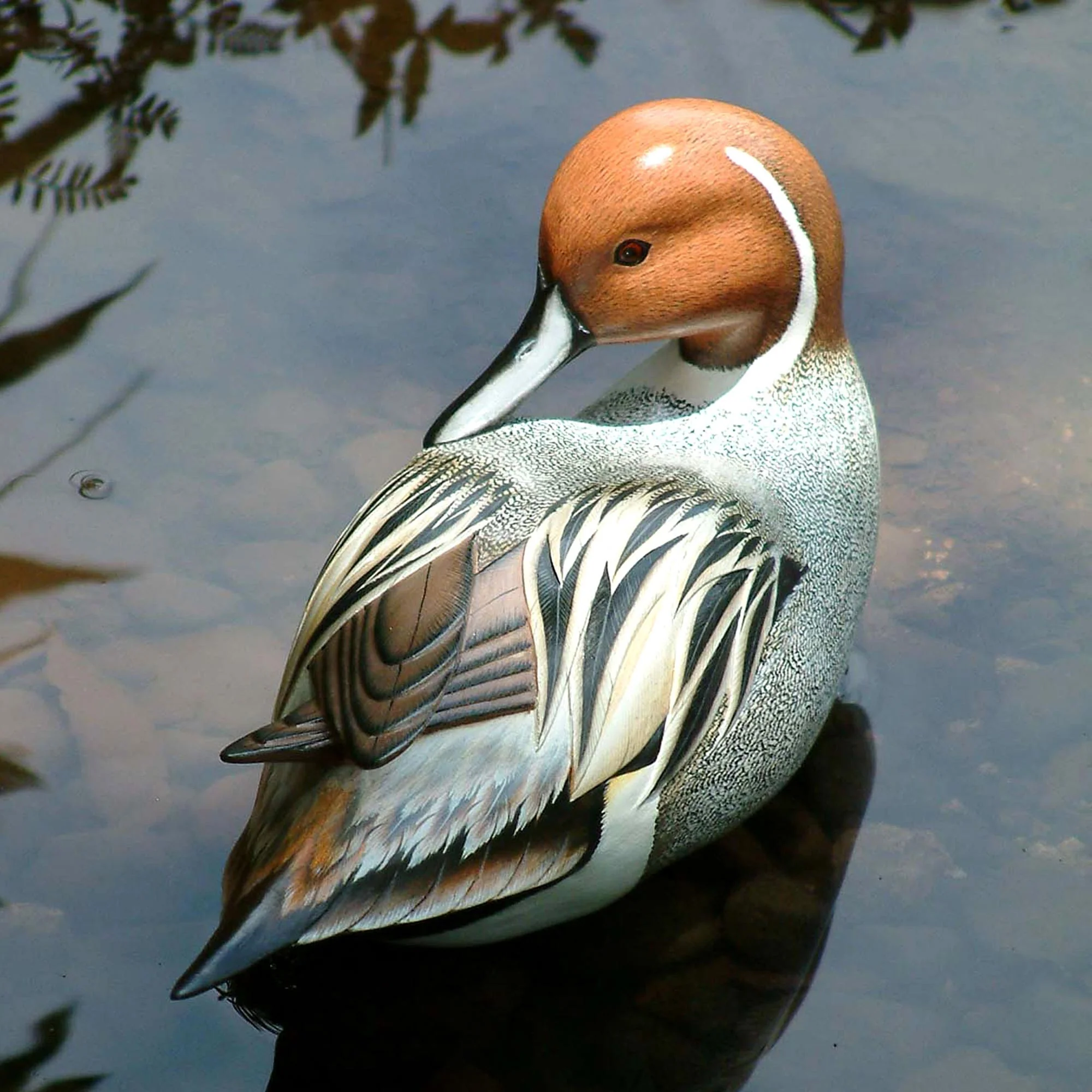 Posing Pintail Duck Indonesian Wood Bird Sculpture - Image 3
