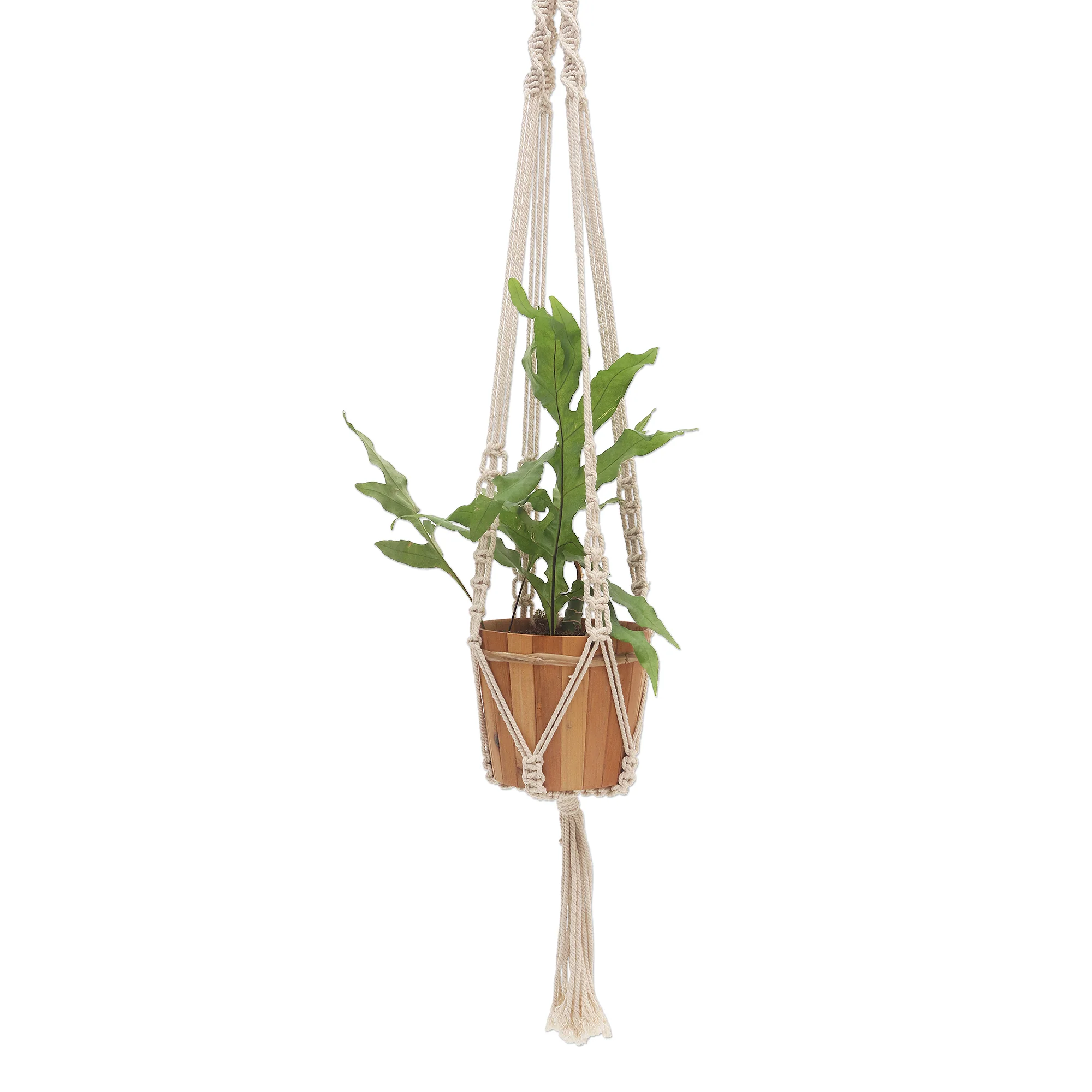 Pure Home Hand-Knotted White Cotton Macrame Hanger from Bali - Image 2