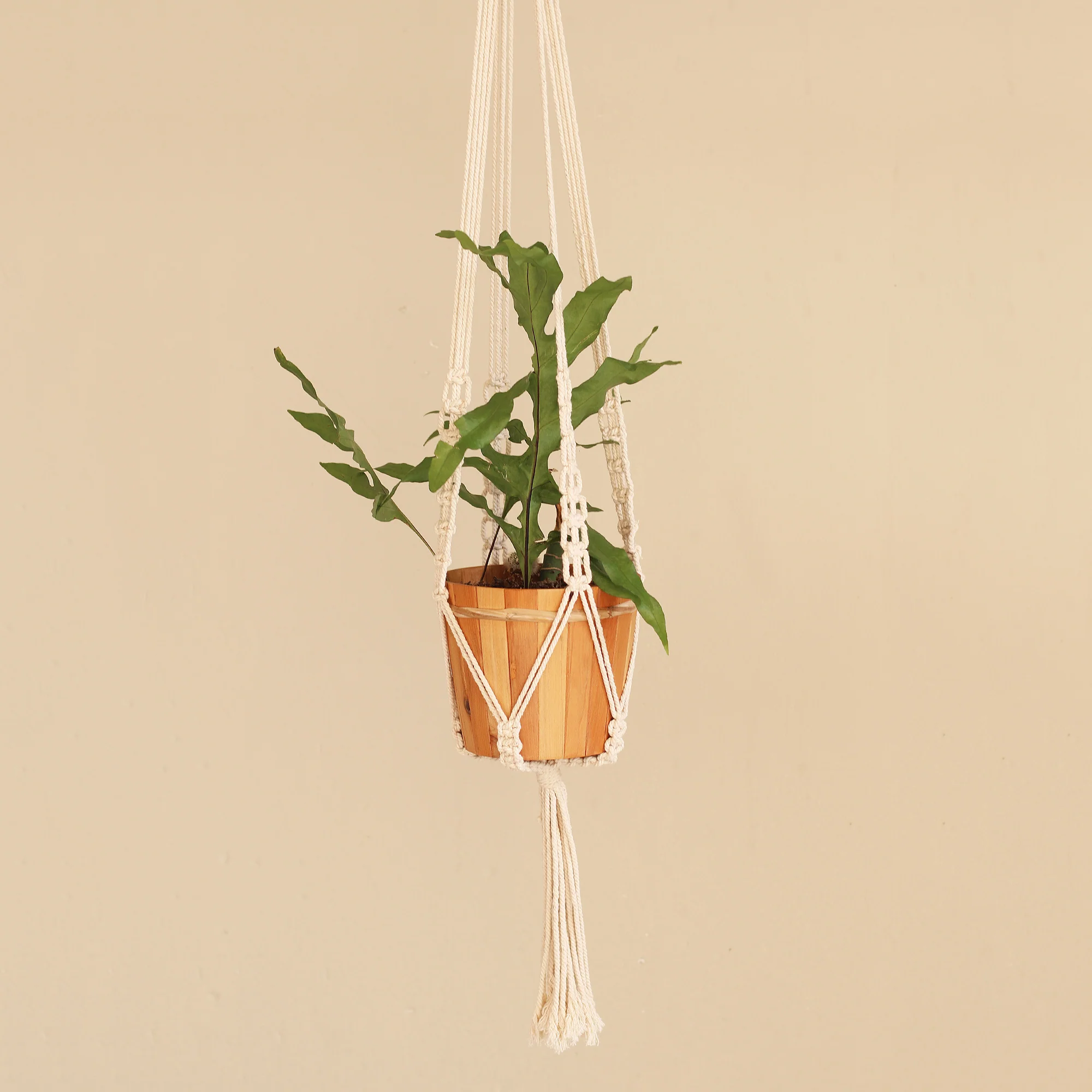 Pure Home Hand-Knotted White Cotton Macrame Hanger from Bali - Image 3