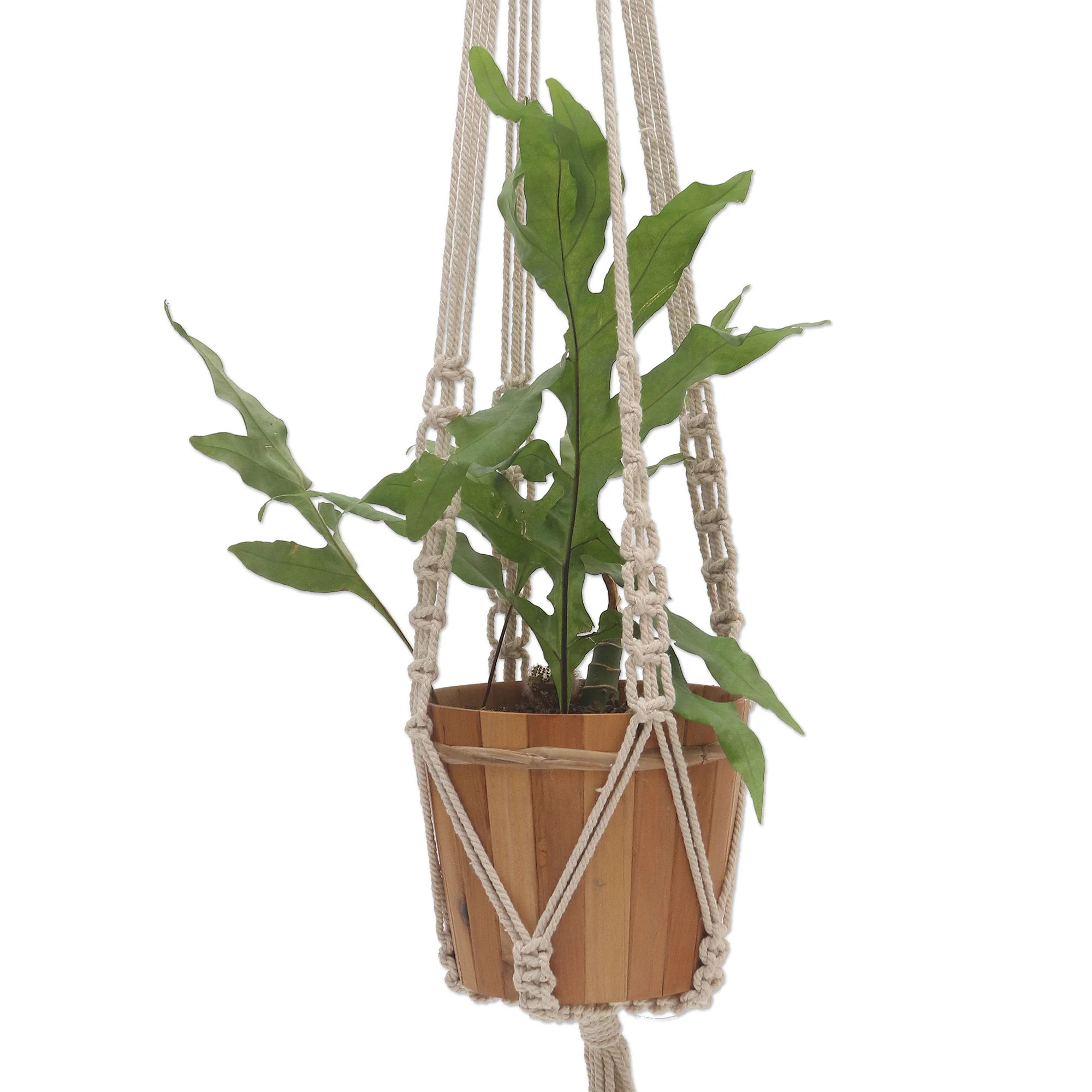 Pure Home Hand-Knotted White Cotton Macrame Hanger from Bali - Image 4