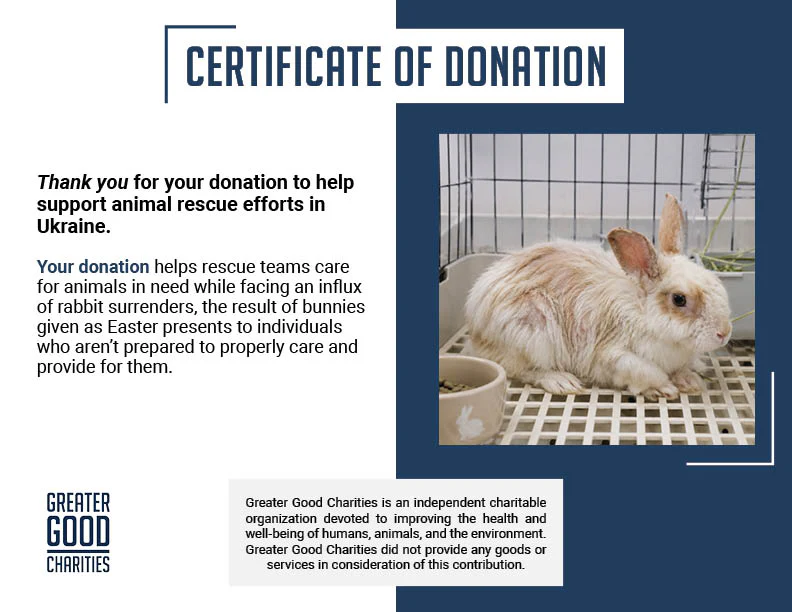 Send Lifesaving Supplies to Rescue Bunnies - Image 11