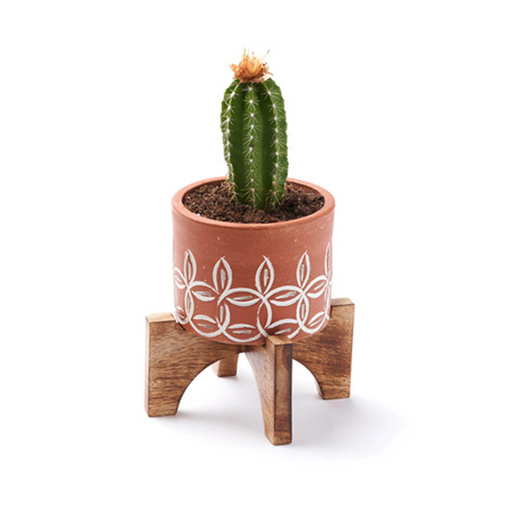 Small Terra Mango Planter with Stand - Image 3